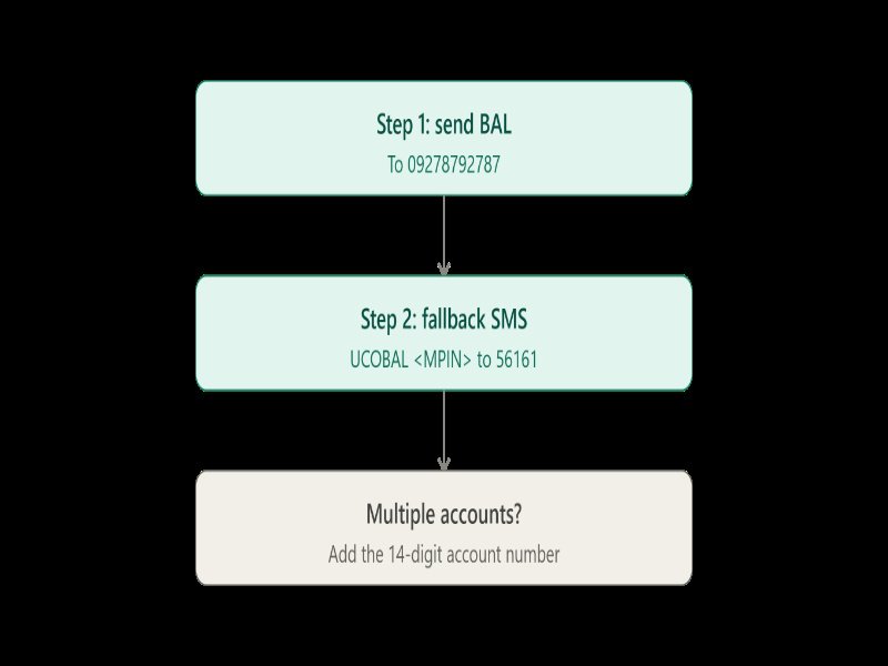 Instructions for checking account balance via SMS, detailing steps and contact numbers.