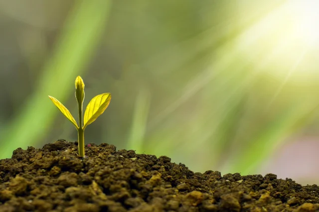 BusinessBuilts Finance and Investment